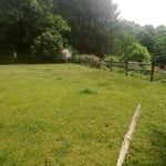Lawn & Yard Work Project