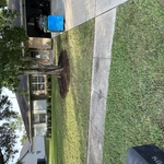 Deltona
