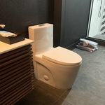 Skirted Toilet Install