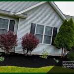 land scaping