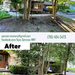 Landscaping Project