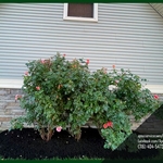 Retaining wall