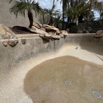 Before chlorine wash