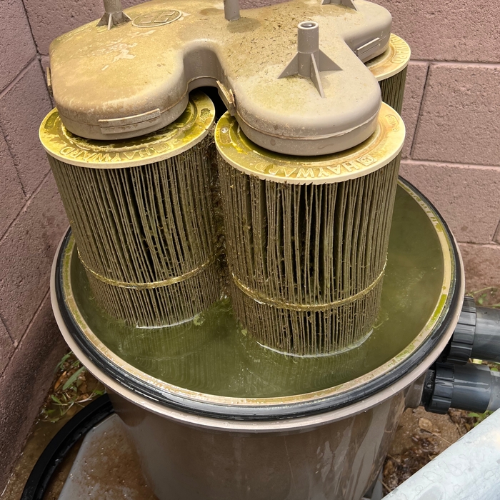 Before filter clean