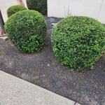 Lawn & Yard Work Project