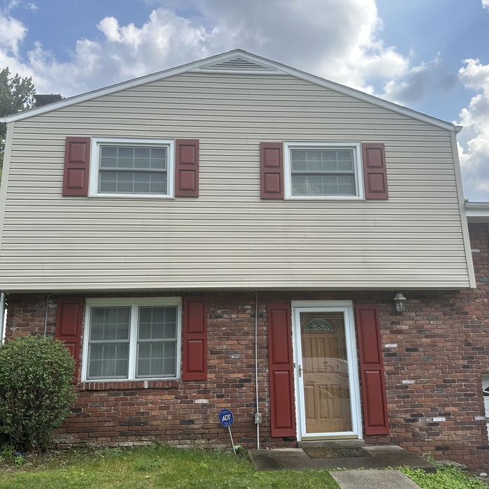 Pressure Washing Project