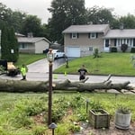 Tree Service Project