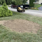 Tree Service Project