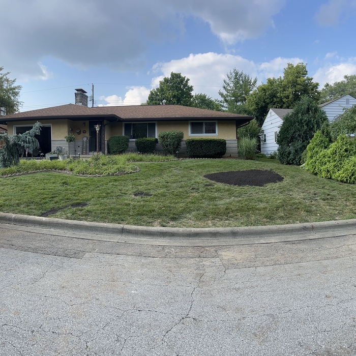 Tree Service Project