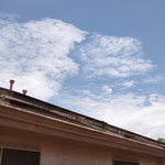 I recommend that all of my clients install the optional Critter Guard steel netting around the base of the solar panels. This option prevents pigeons and other animals from nesting under the solar panels and causing damage
