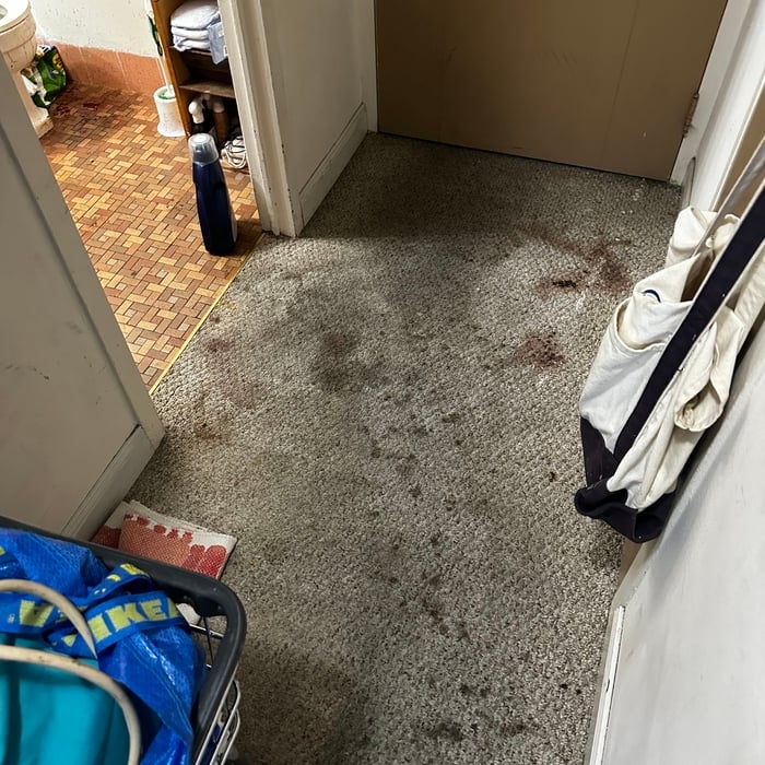 Carpet Cleaning Project