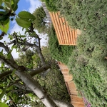 Decks & Porches Project