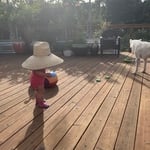 Decks & Porches Project