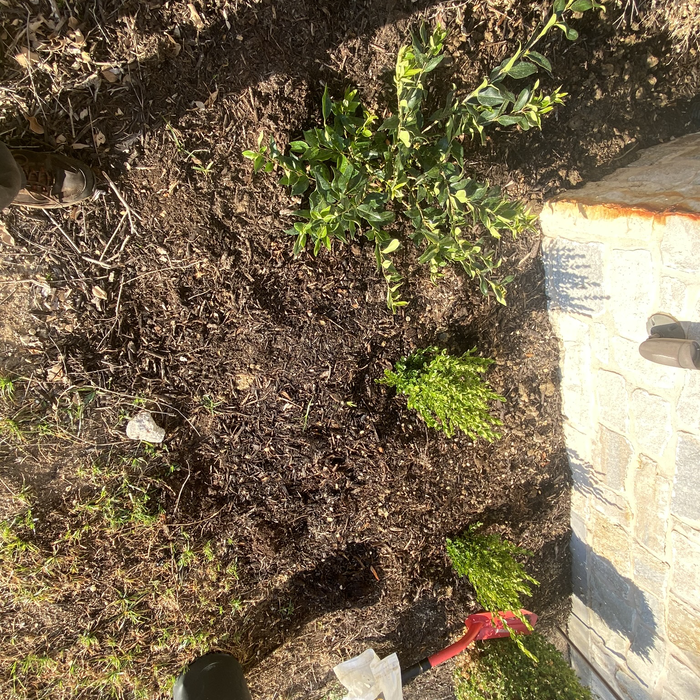 Additional Photos