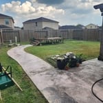 Lawn cut /clean up