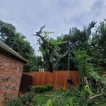 Landscaping Project