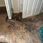 Deep cleaning