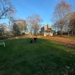 Fall Clean Up