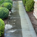 Pressure Washing Project
