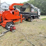 Tree removal
