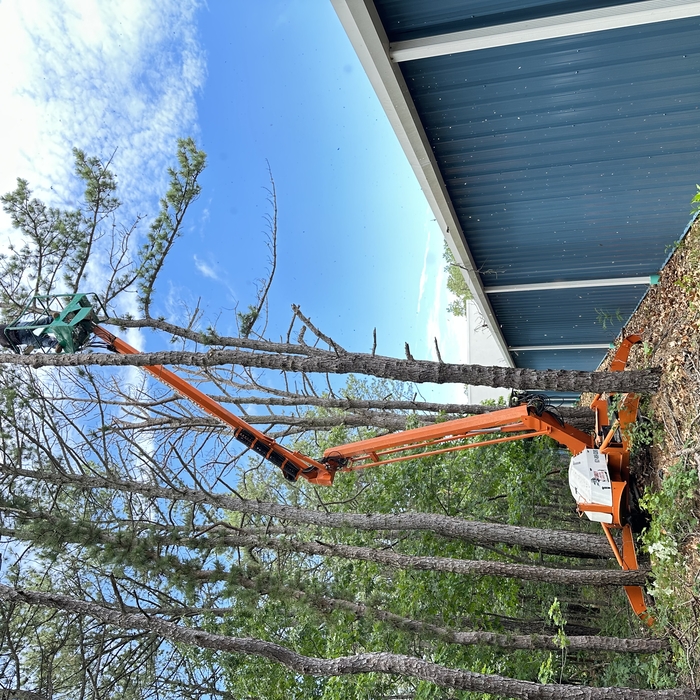 Additional Photos