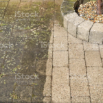 Back patio