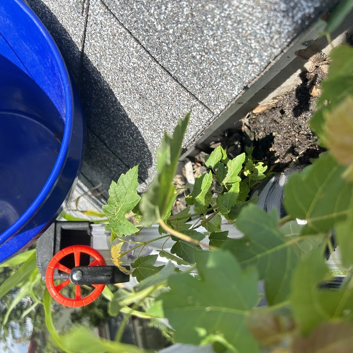 Gutter Clean