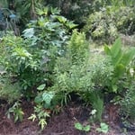 Lawn & Yard Work Project