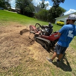 Tree and stump demo
