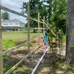 Tree and stump demo