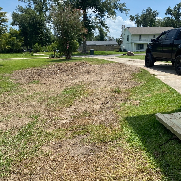 Tree and stump demo