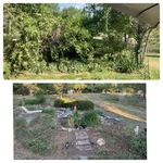 Lawn & Yard Work Project