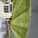 Landscaping Project