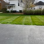Landscaping Project