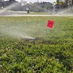 New sprinkler head working perfectly