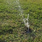 Faulty Sprinkler Head