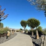 Xeriscaping Project