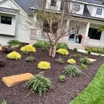 Landscaping Project