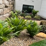 Landscaping Project