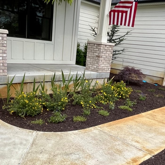 Landscaping Project