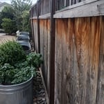 Leaning post rotten