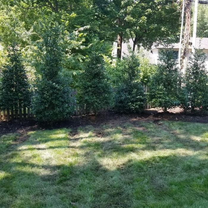 Additional Photos