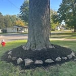 Landscaping Project