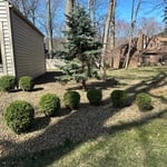 Landscaping Project