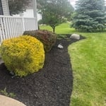 Landscaping Project