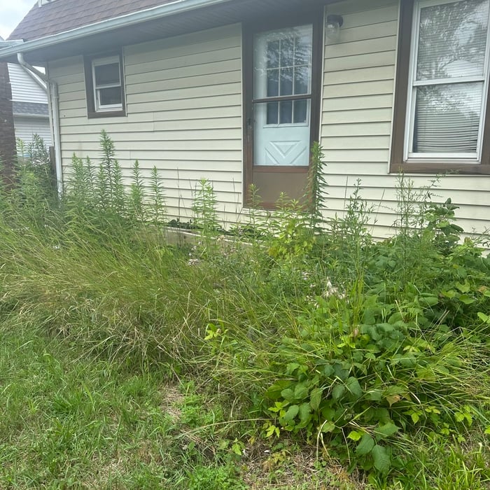 Landscaping Project