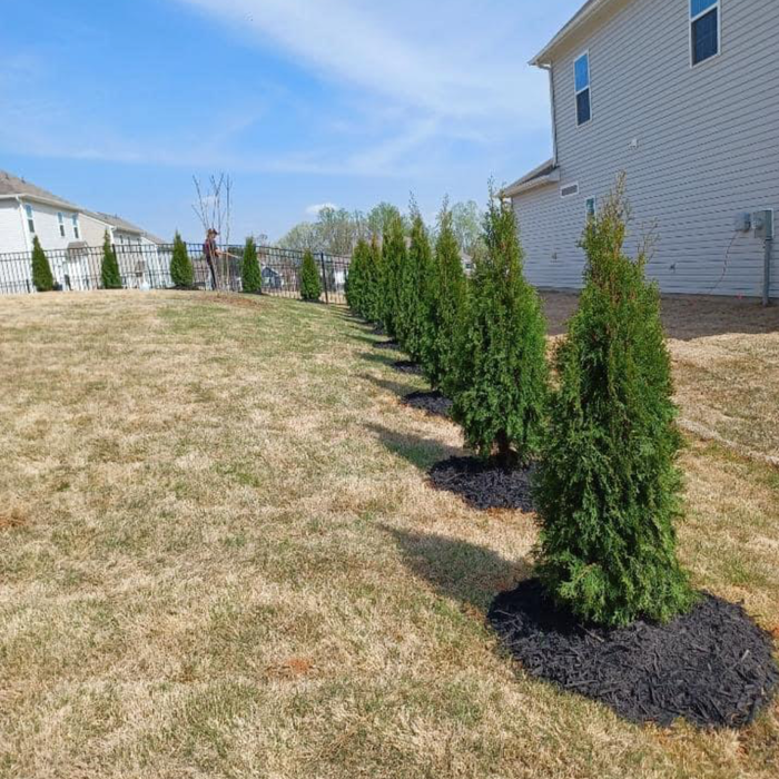 Additional Photos