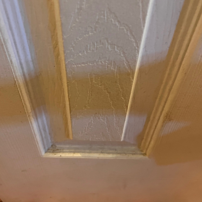 Door before deep cleaning
