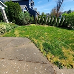Landscaping Project