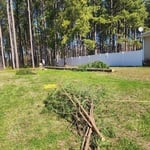 Tree Service Project